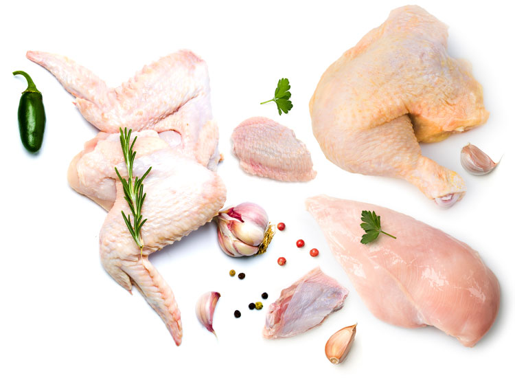 Multiple raw chicken parts arranged  together with garlic cloves and a Habanero pepper